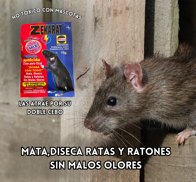 ZekaRat® -Diseca y elimina las ratas🐀 sin malos olores🤢